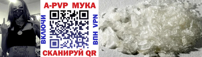 A PVP СК КРИС  Орск 