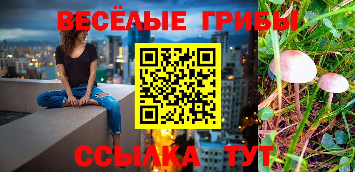 даркнет сайт  Вход с VPN  Орск  Псилоцибиновые грибы MAGIC MUSHROOMS 